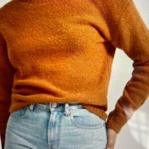 Everlane Warm Amber Crew Neck Sweater. Wool- blend